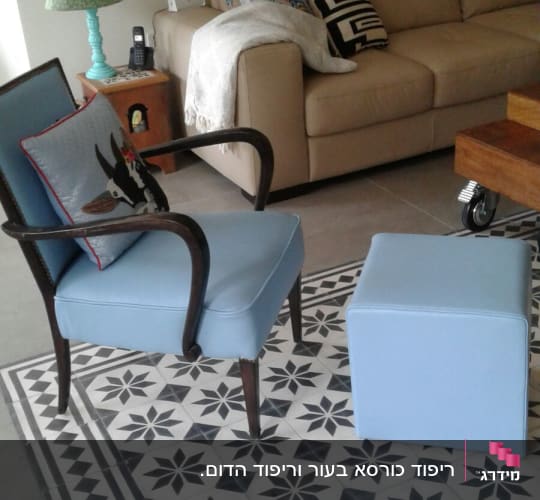 כורסה מרופדת וכרית עם הדפס כלב